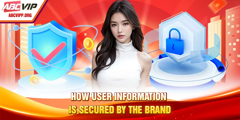 How user information is secured by the brand
